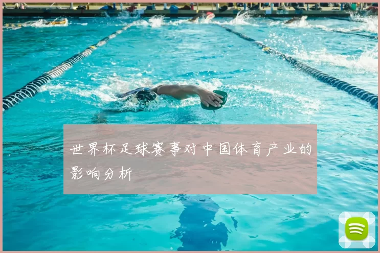 世界杯足球赛事对中国体育产业的影响分析