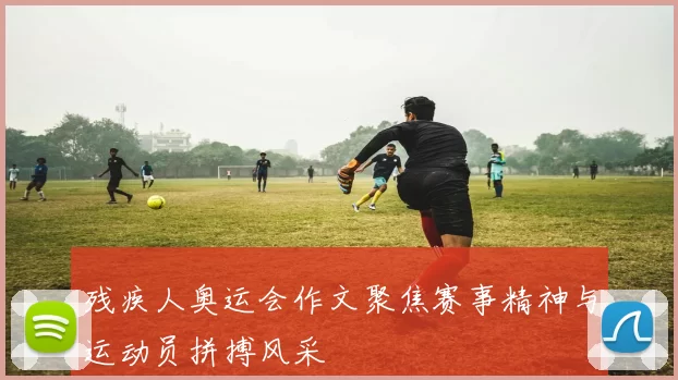 残疾人奥运会作文聚焦赛事精神与运动员拼搏风采