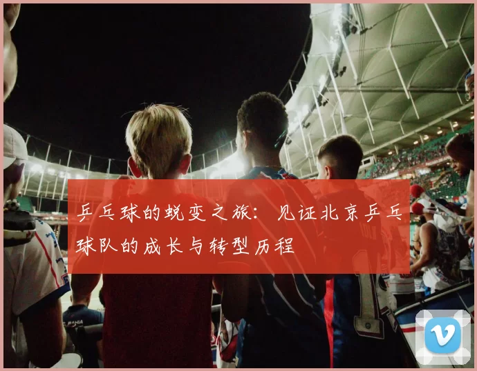 乒乓球的蜕变之旅：见证北京乒乓球队的成长与转型历程