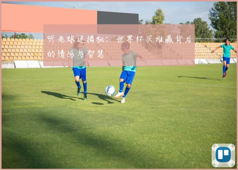 听老球迷揭秘：世界杯买谁赢背后的情感与智慧