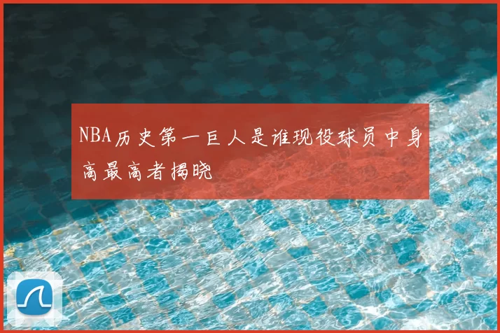 NBA历史第一巨人是谁现役球员中身高最高者揭晓