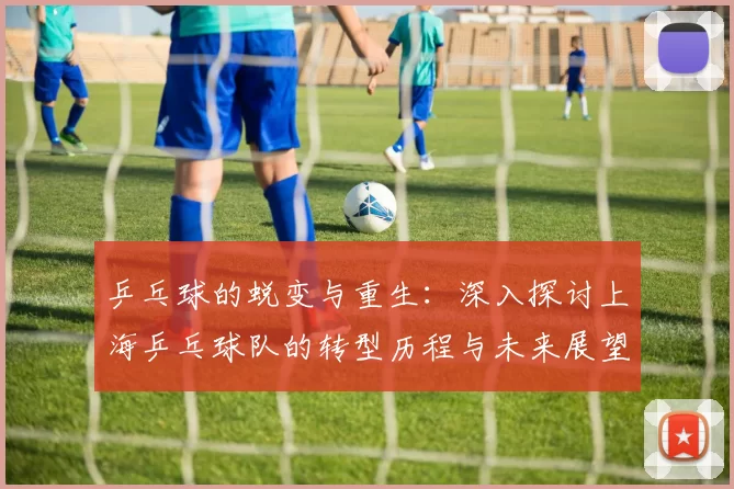 乒乓球的蜕变与重生：深入探讨上海乒乓球队的转型历程与未来展望