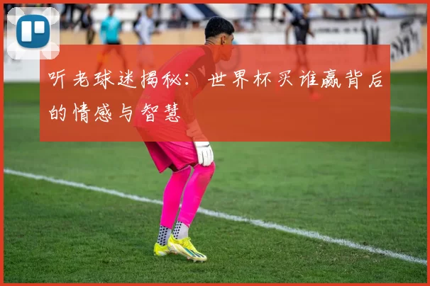 听老球迷揭秘:世界杯买谁赢背后的情感与智慧