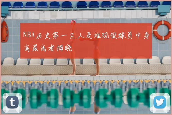 NBA历史第一巨人是谁现役球员中身高最高者揭晓