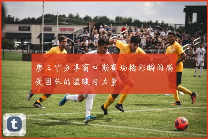廖三宁分享窗口期赛场精彩瞬间感受团队的温暖与力量