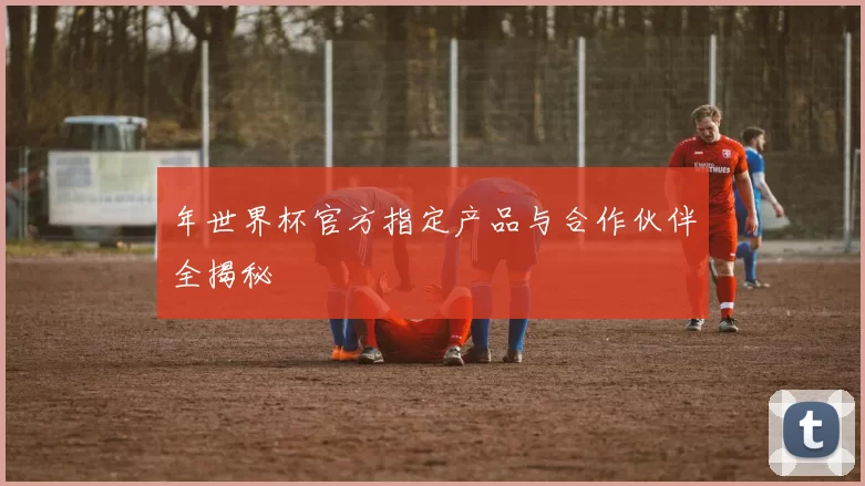 年世界杯官方指定产品与合作伙伴全揭秘