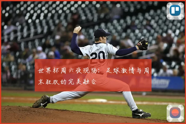 世界杯周六夜现场:足球激情与周末狂欢的完美融合