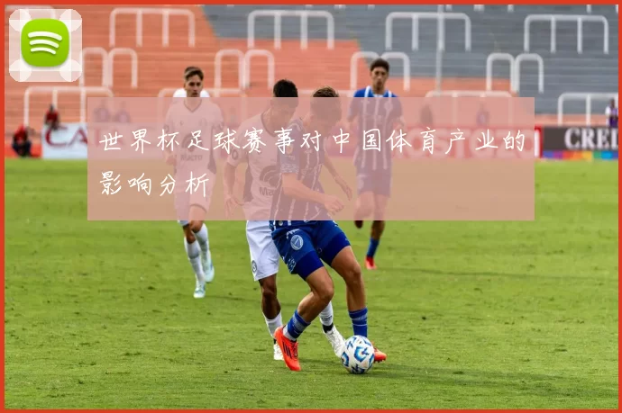 世界杯足球赛事对中国体育产业的影响分析