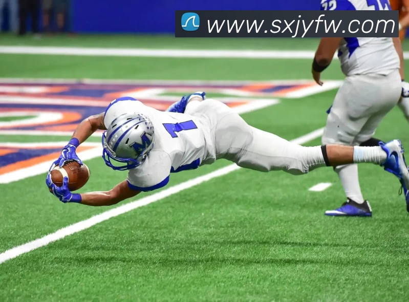 博亚体育APP 体育赛事宣传图